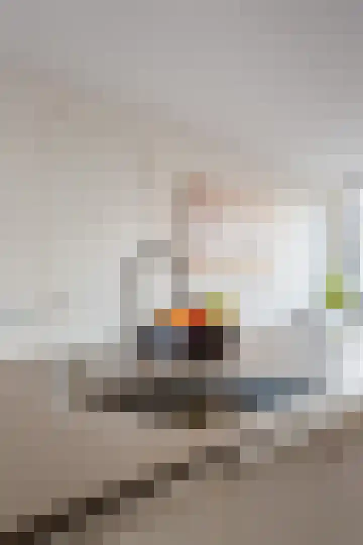Fangorn 18 Geldrop thumbnail 11