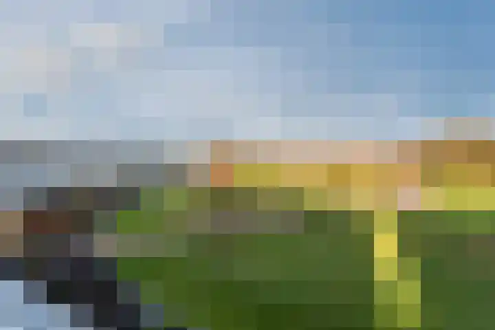 Fangorn 18 Geldrop foto 3