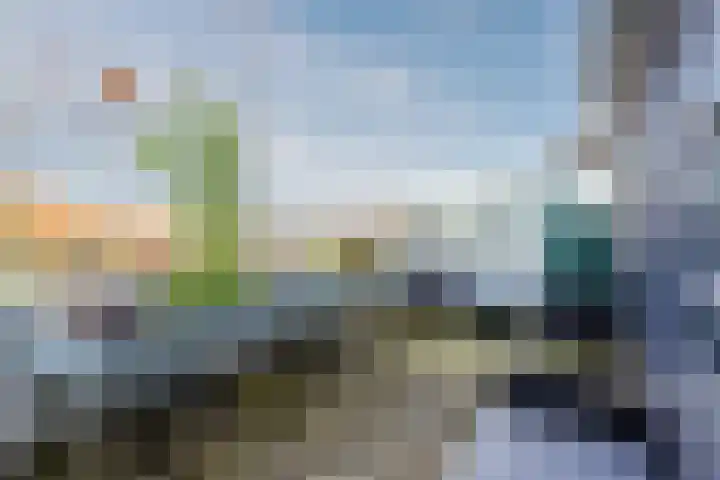Fangorn 18 Geldrop thumbnail 44