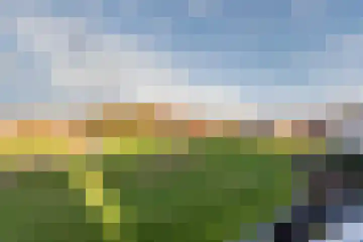 Fangorn 18 Geldrop thumbnail 46