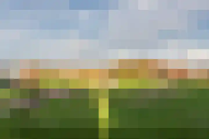 Fangorn 18 Geldrop thumbnail 48