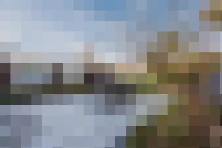 Fangorn 18 Geldrop thumbnail 54