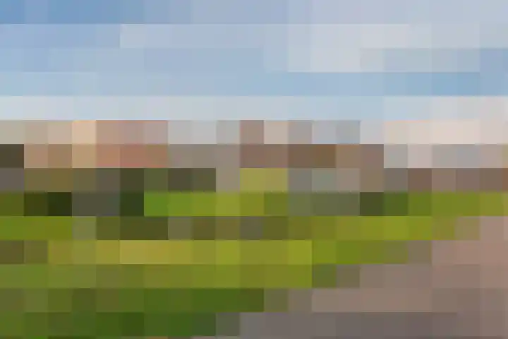 Fangorn 18 Geldrop thumbnail 61