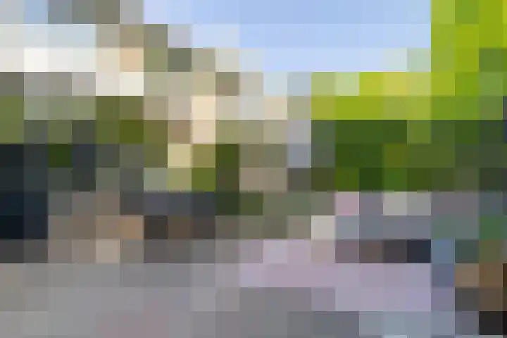 Fangorn 18 Geldrop thumbnail 67