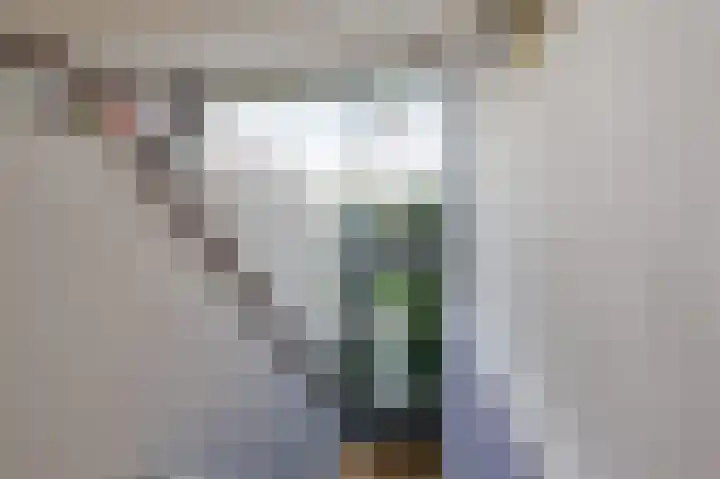 Fangorn 32 Geldrop thumbnail 30