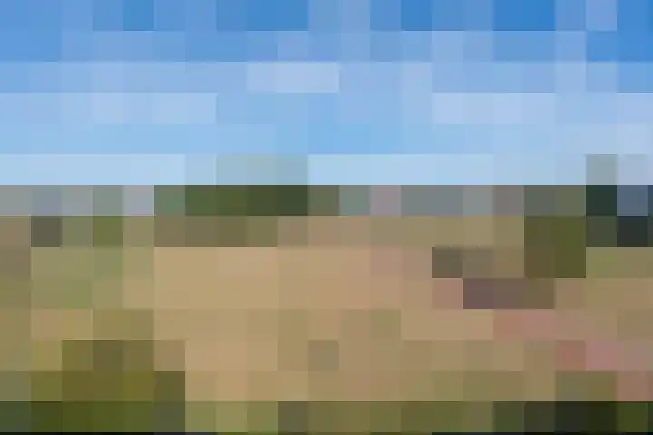 Fangorn 32 Geldrop thumbnail 60