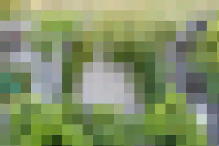 Fangorn 32 Geldrop thumbnail 61