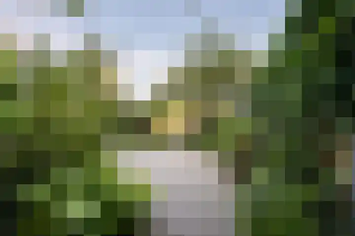 Fangorn 32 Geldrop thumbnail 63