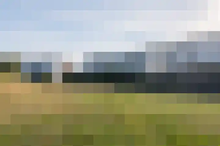 Fangorn 32 Geldrop thumbnail 68