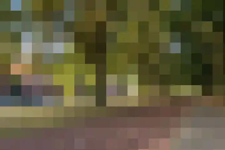 Fangorn 32 Geldrop thumbnail 70