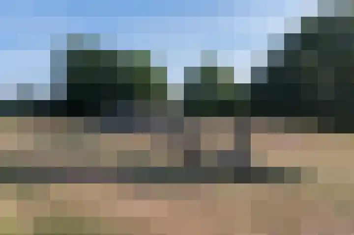 Fangorn 32 Geldrop thumbnail 72