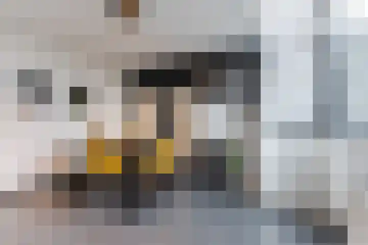 Fangorn 48 Geldrop thumbnail 13