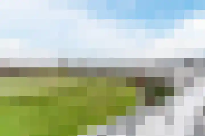 Fangorn 48 Geldrop thumbnail 30