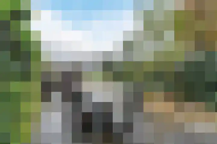 Fangorn 48 Geldrop thumbnail 33