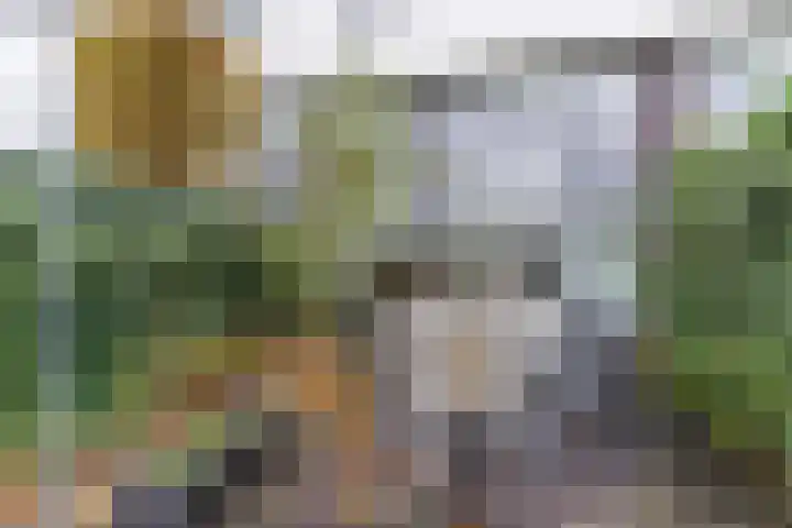Fangorn 48 Geldrop thumbnail 34