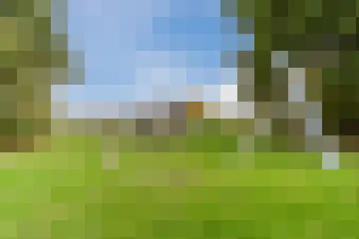 Fangorn 48 Geldrop thumbnail 37