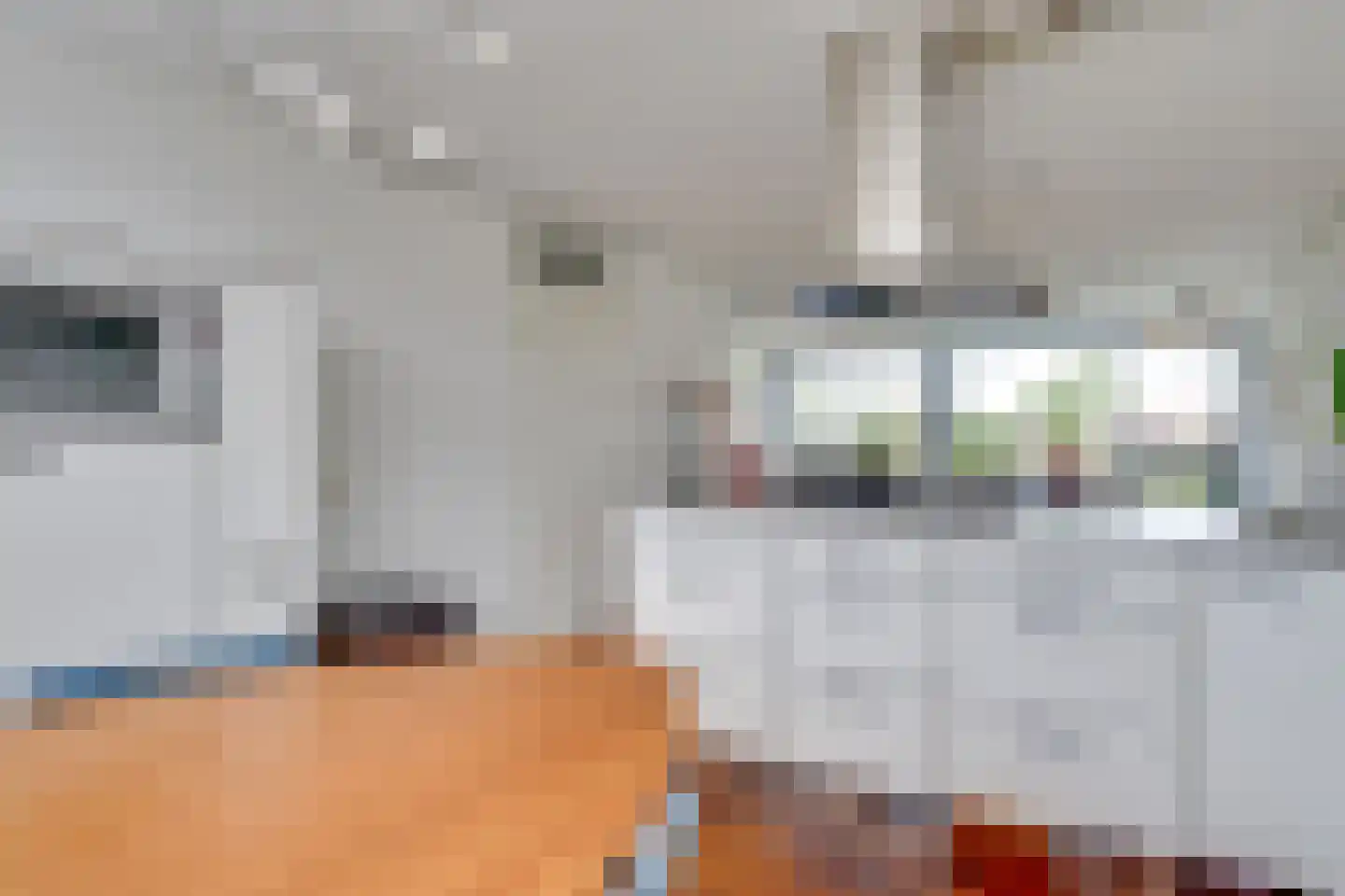 Fangorn 6 Geldrop thumbnail 12