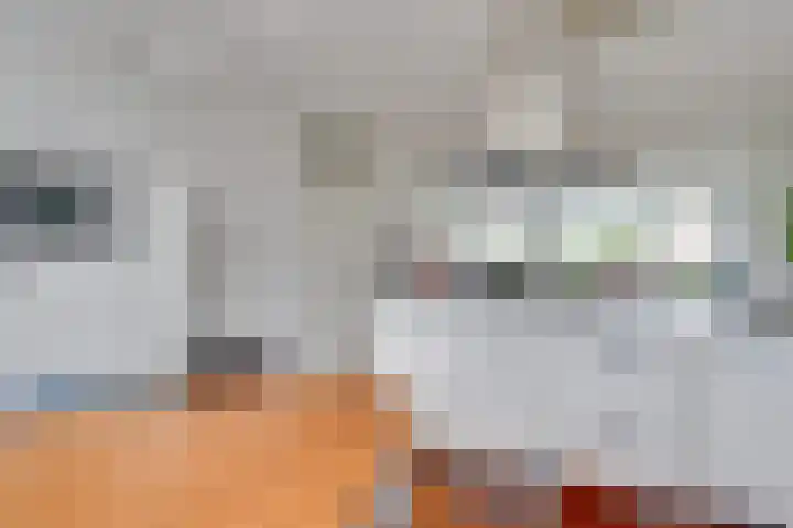 Fangorn 6 Geldrop thumbnail 17
