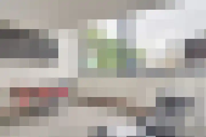 Fangorn 6 Geldrop thumbnail 21