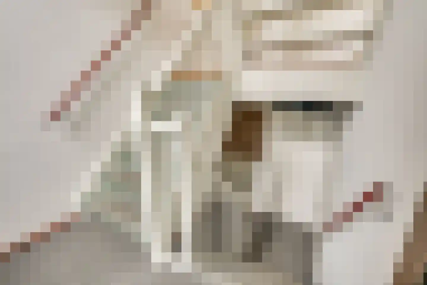 Fangorn 6 Geldrop thumbnail 23