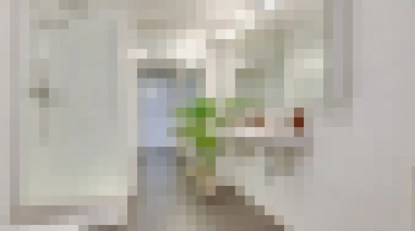 Fangorn 6 Geldrop thumbnail 27