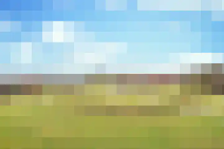 Fangorn 6 Geldrop thumbnail 34