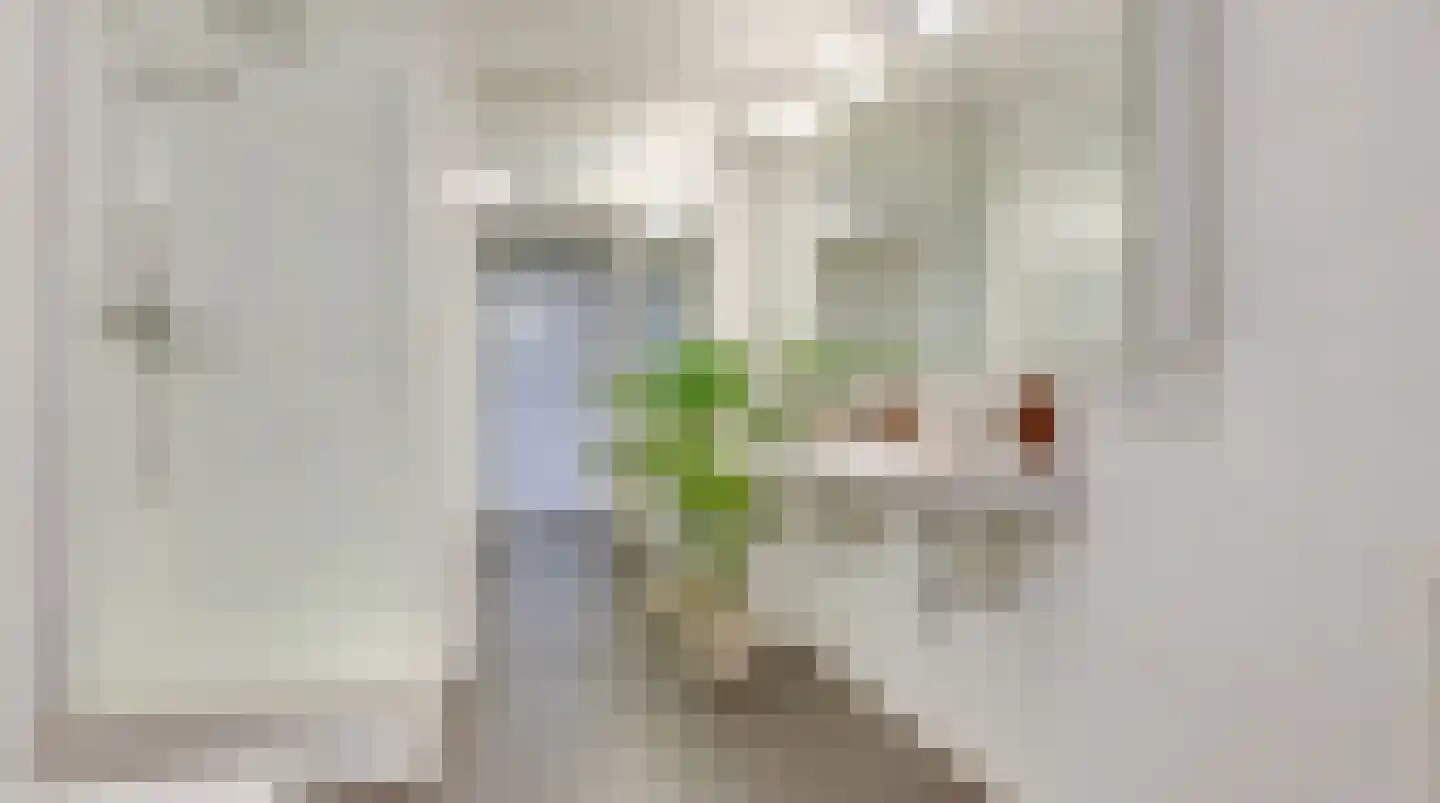 Fangorn 6 Geldrop thumbnail 4