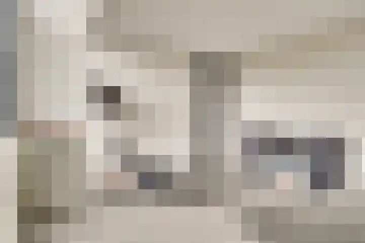 Fangorn 6 Geldrop thumbnail 4
