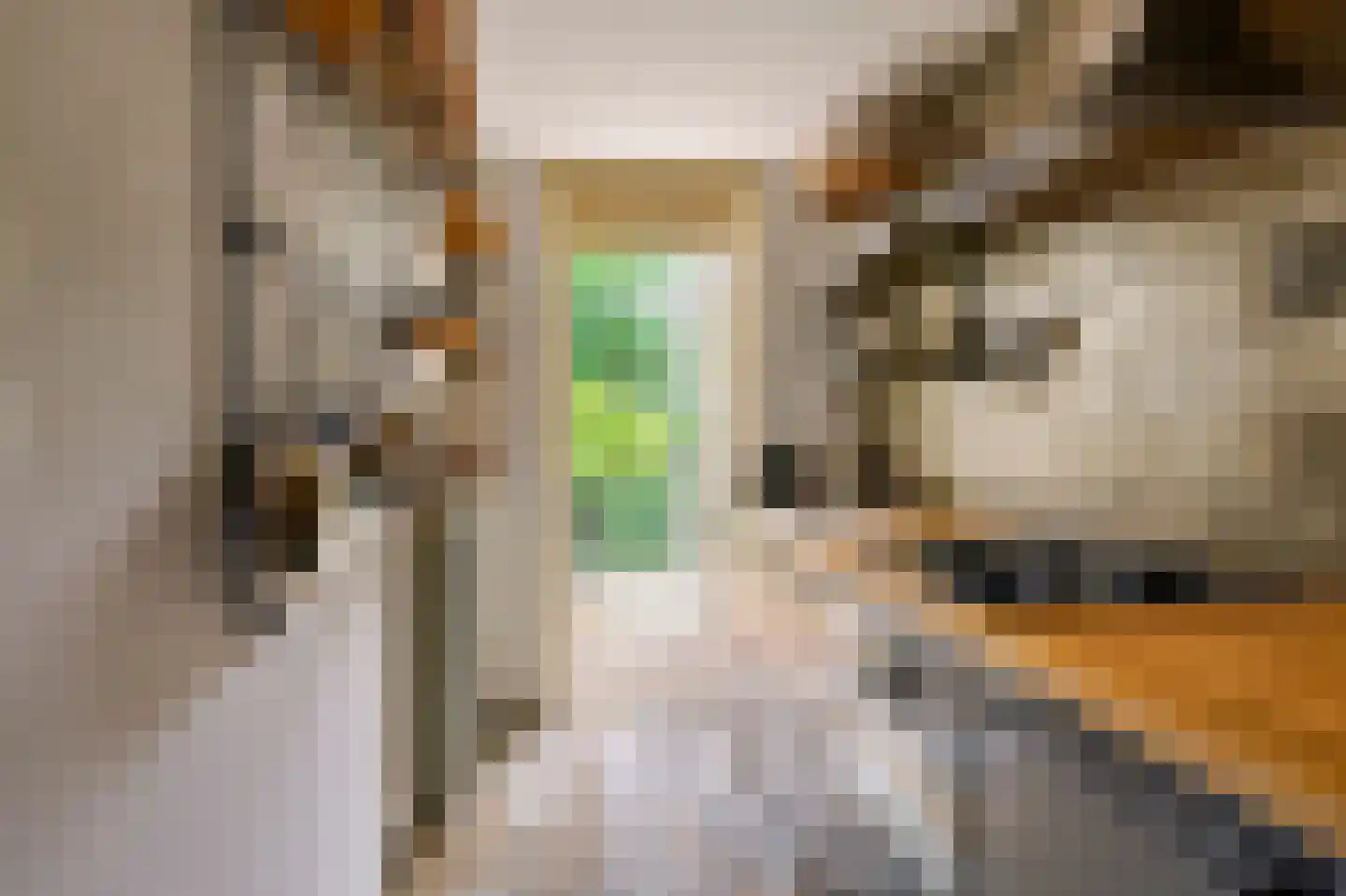 Fannius Scholtenstraat 4 1 Amsterdam thumbnail 9