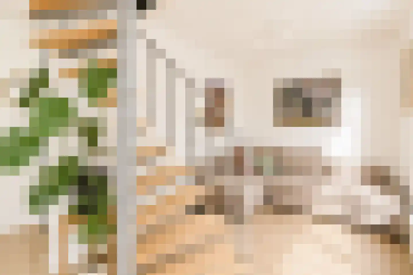 Fannius Scholtenstraat 66 1 Amsterdam thumbnail 10