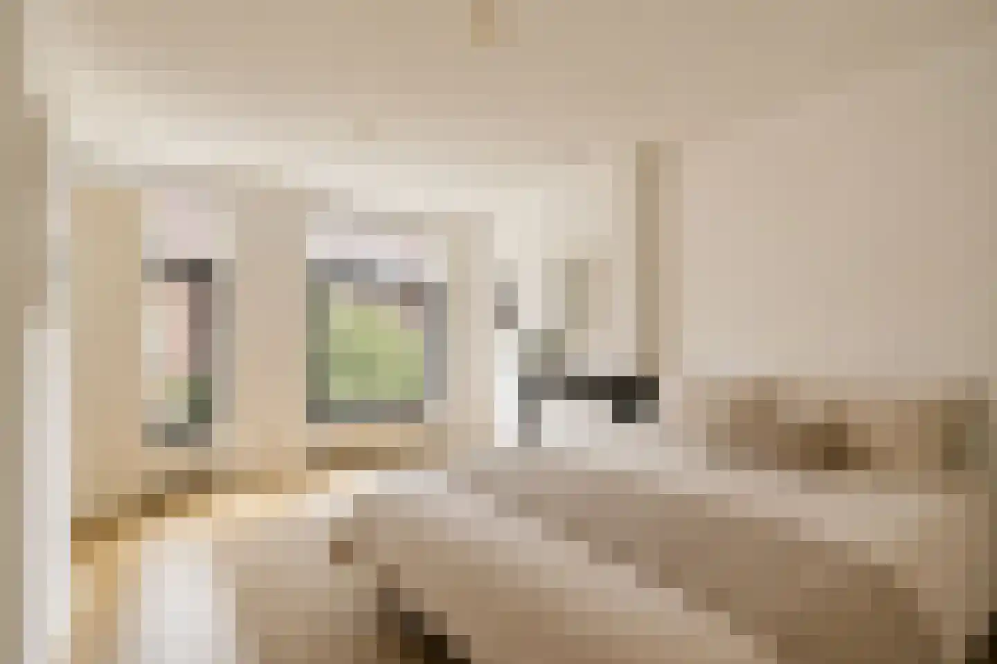 Fannius Scholtenstraat 66 1 Amsterdam thumbnail 11