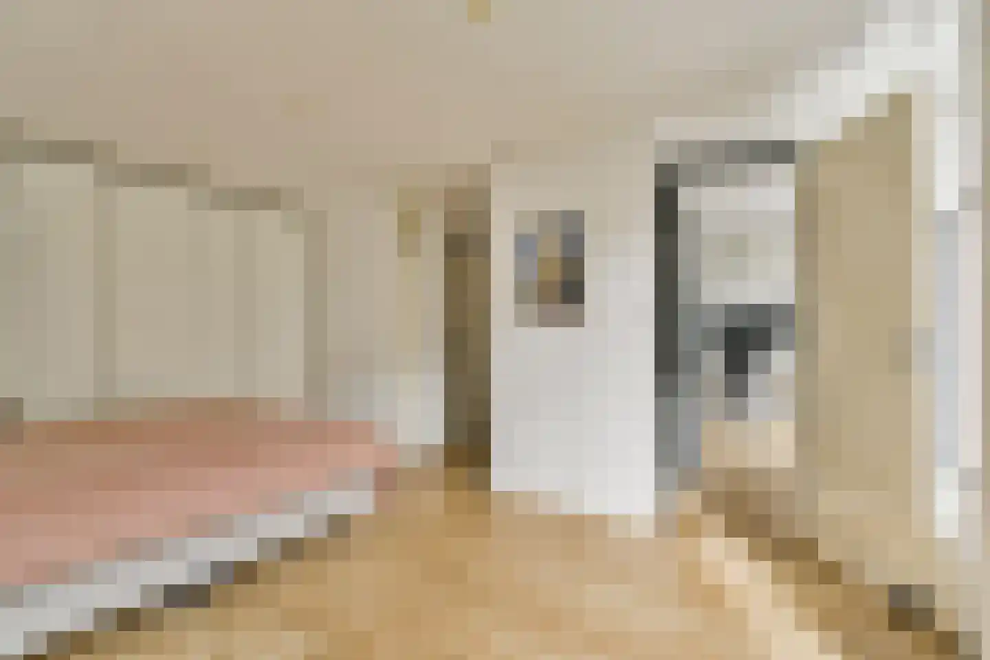 Fannius Scholtenstraat 66 1 Amsterdam thumbnail 15
