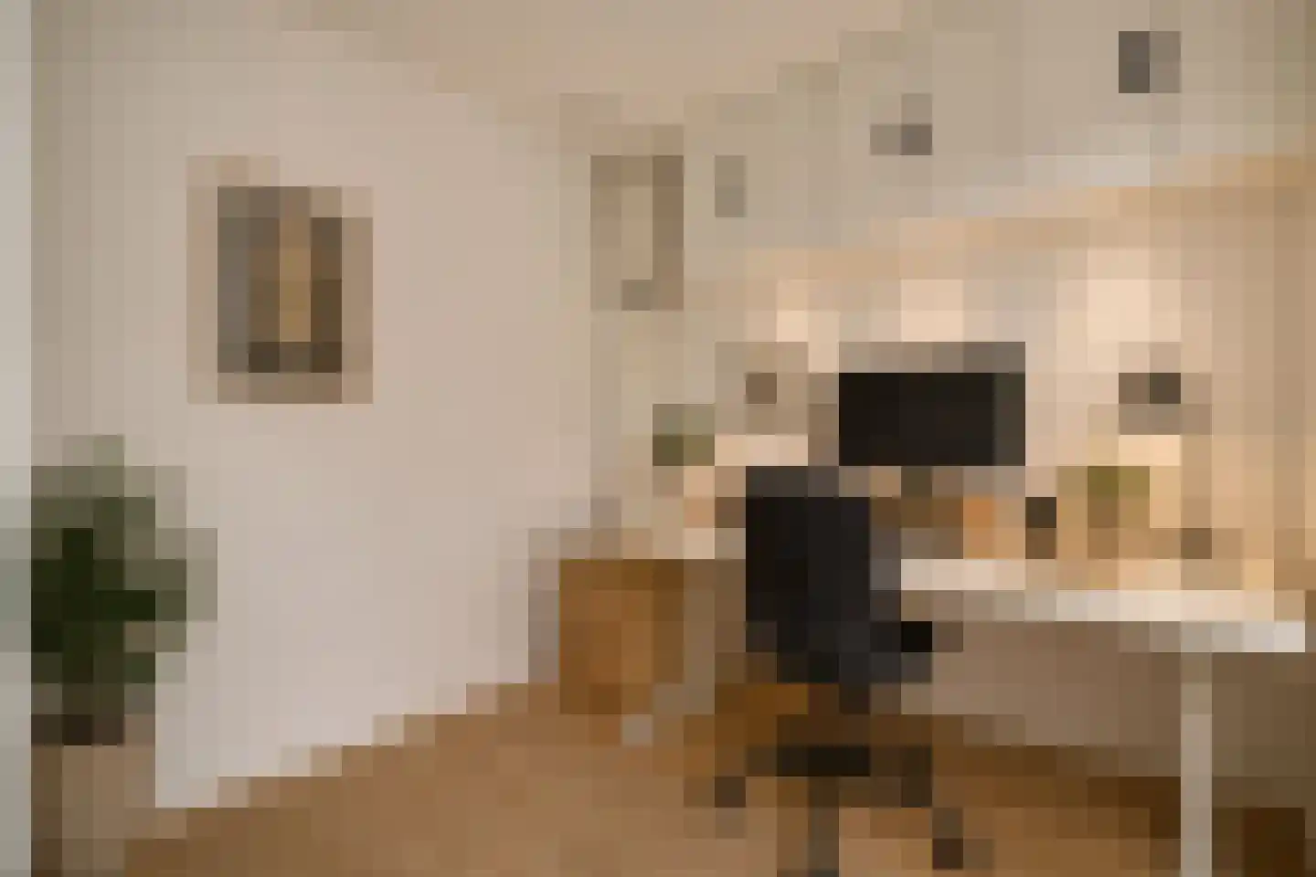 Fannius Scholtenstraat 66 1 Amsterdam thumbnail 16