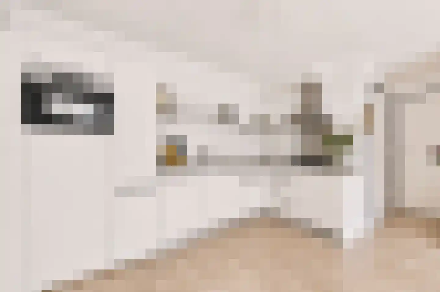 Fannius Scholtenstraat 66 1 Amsterdam thumbnail 7
