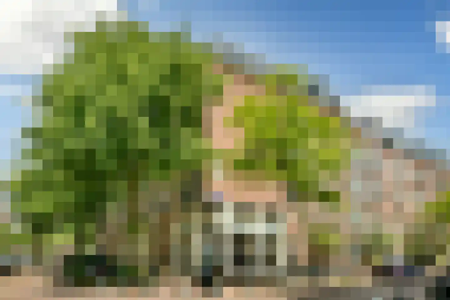 Fannius Scholtenstraat 9 A Amsterdam thumbnail 22