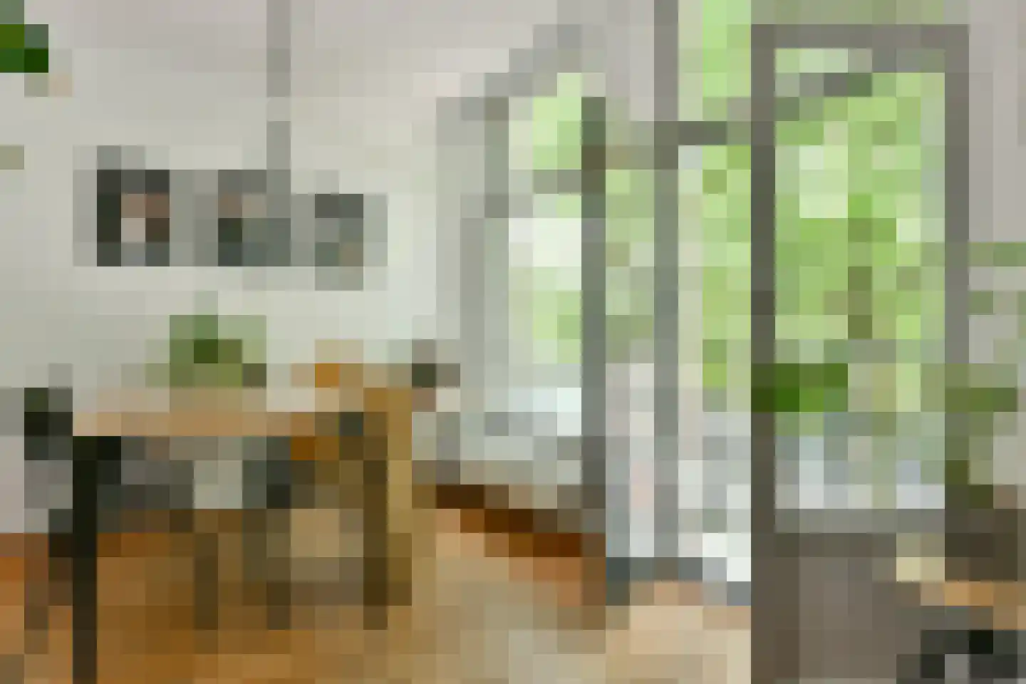 Fannius Scholtenstraat 9 A Amsterdam thumbnail 5