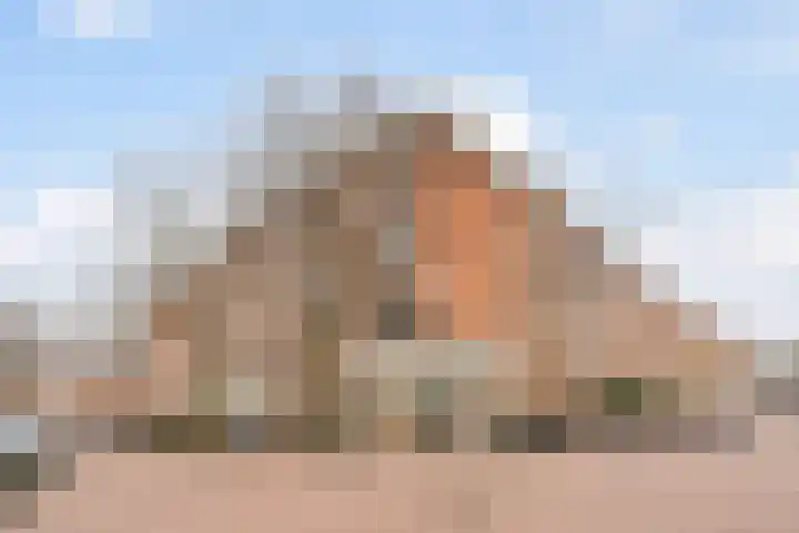 Fannius Scholtenstraat 9 B Amsterdam thumbnail 23