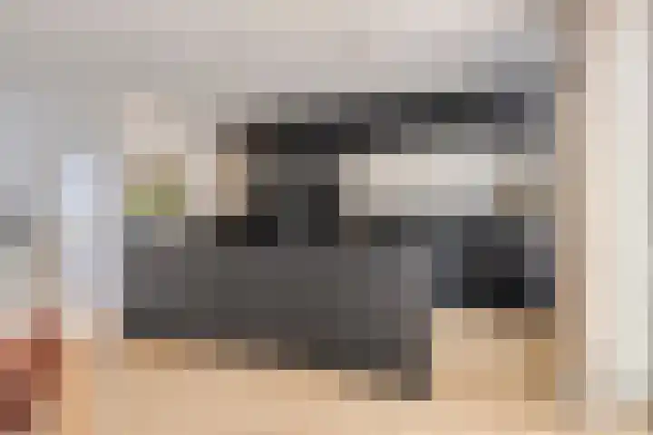 Fanny Blankers-Koenhof 2 Tilburg thumbnail 12