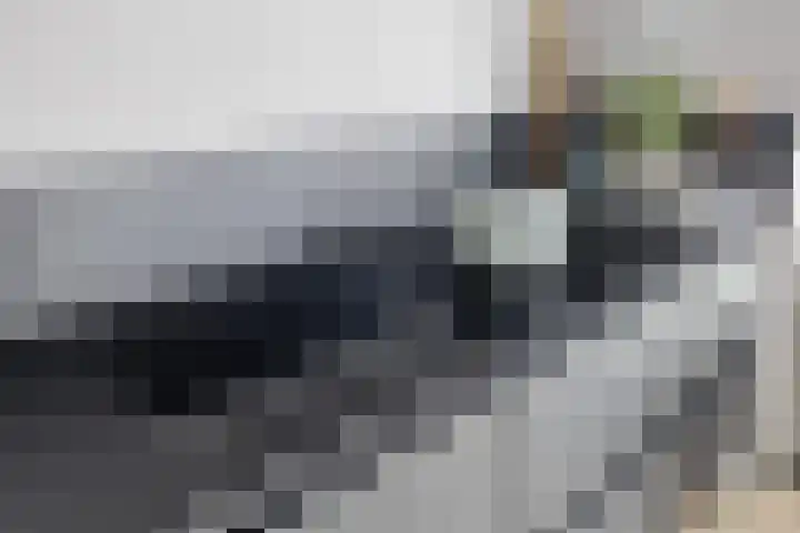 Fanny Blankers-Koenhof 2 Tilburg thumbnail 15