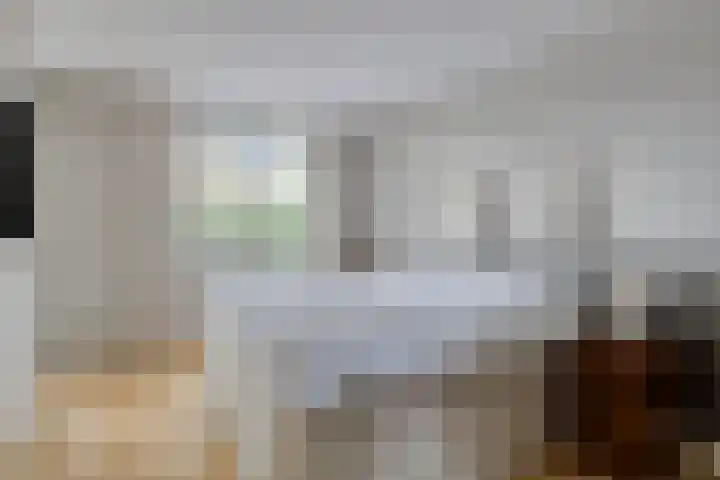Fanny Blankers-Koenhof 2 Tilburg thumbnail 21