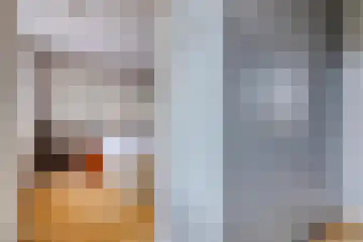 Fanny Blankers-Koenhof 2 Tilburg thumbnail 26