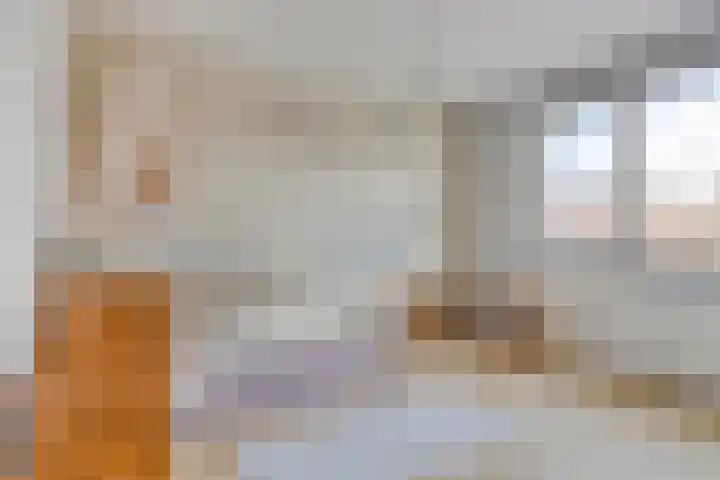 Fanny Blankers-Koenhof 2 Tilburg thumbnail 27