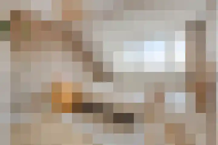 Fanny Blankers-Koenhof 2 Tilburg thumbnail 36