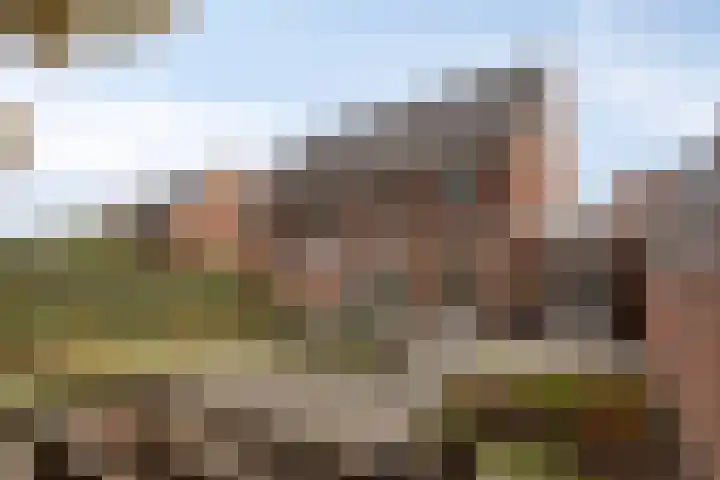 Fanny Blankers-Koenhof 2 Tilburg thumbnail 42