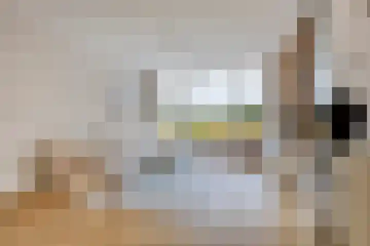 Fanny Blankers-Koenhof 2 Tilburg thumbnail 5