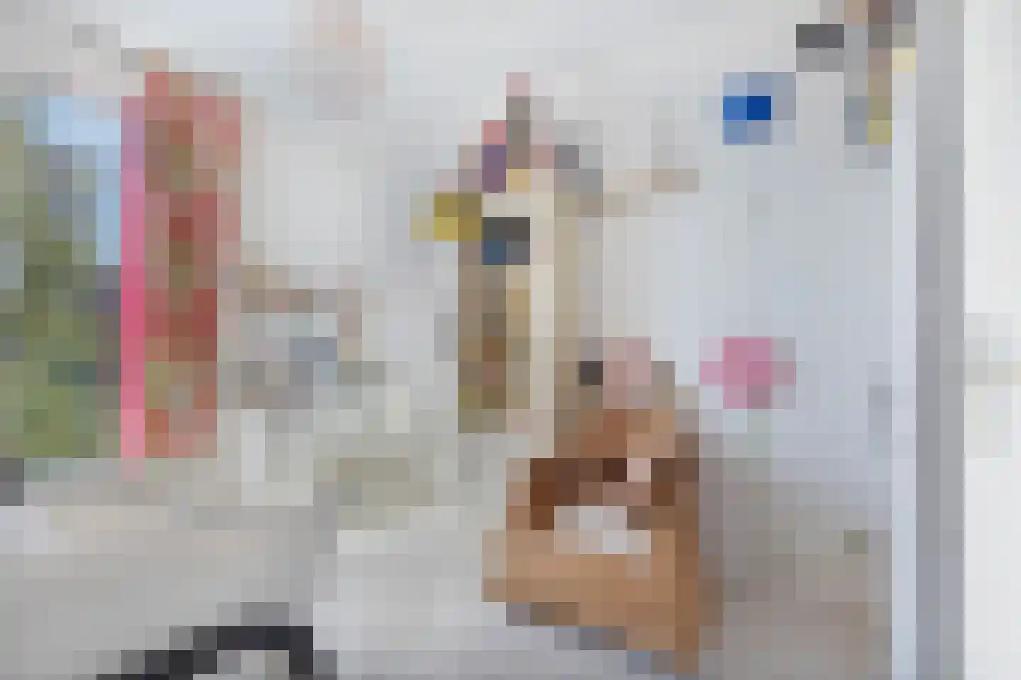 Fanny Blankers-Koenlaan 20 Amsterdam thumbnail 22