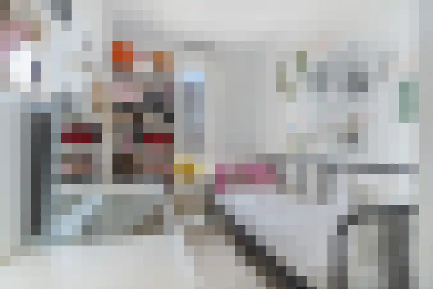 Fanny Blankers-Koenlaan 20 Amsterdam thumbnail 25