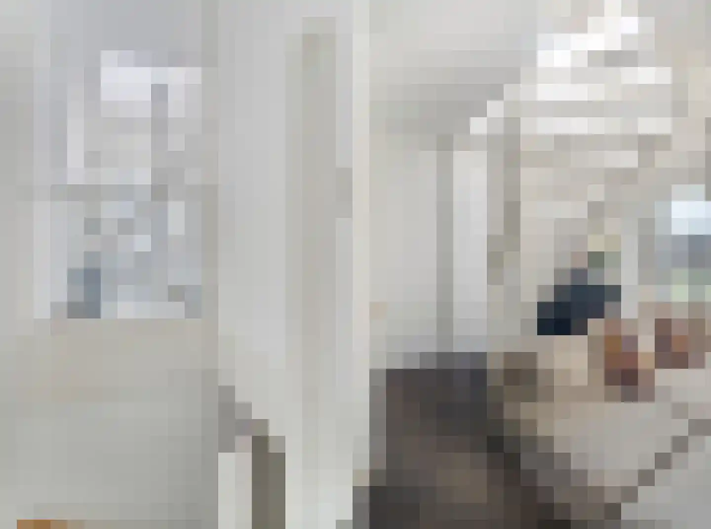 Fanny Blankers-Koenlaan 20 Amsterdam thumbnail 32