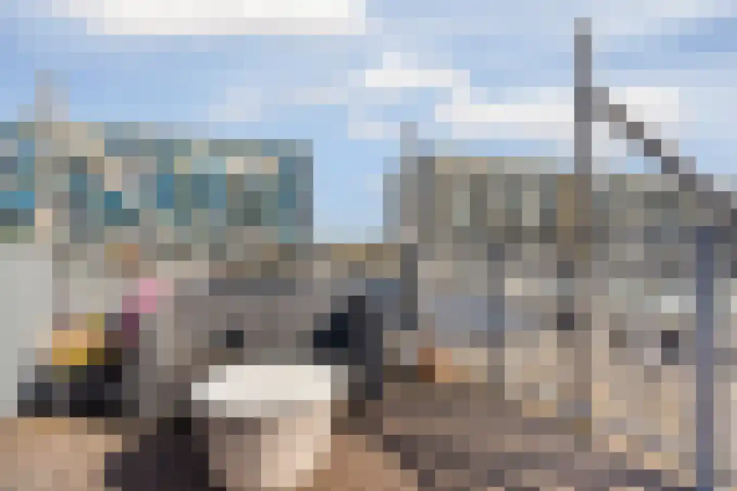Fanny Blankers-Koenlaan 20 Amsterdam thumbnail 4