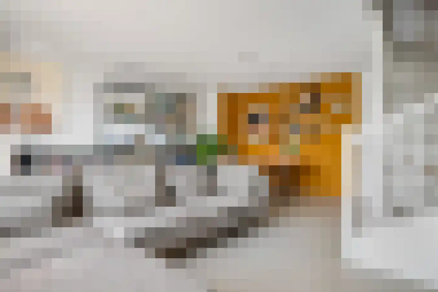 Fanny Blankers-Koenlaan 22 Amsterdam thumbnail 13
